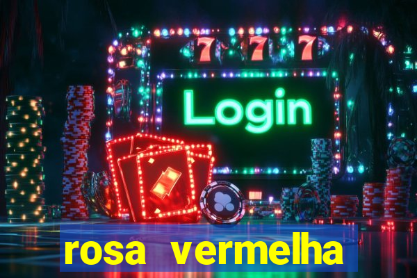 rosa vermelha (letra e cifra)